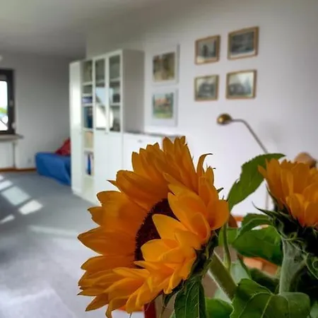 Cosy Mit Traumblick 아파트 아인벡